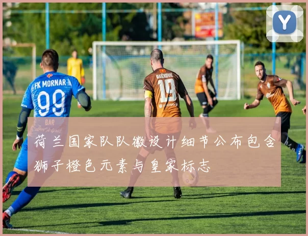 荷兰国家队队徽设计细节公布包含狮子橙色元素与皇家标志